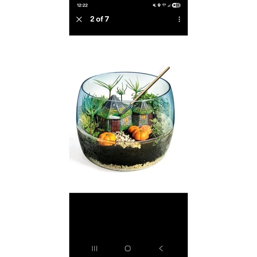 Harry Potter Hagrid's Hut Terrarium Kit Clementoni Mini Ecosystem NEW